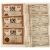 Image 1 : Odd Fellows Stock Certificates