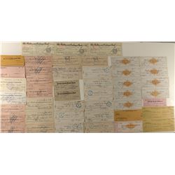 Nevada Checks: lot of 30