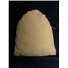 Image 1 : 1047. (2,600) Wheat Cents in a cloth money bag.  The consignor tells me they are sorted into a group