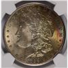 Image 2 : 1899-O MORGAN SILVER DOLLAR, NGC MS-63 COLOR