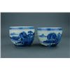Pair of Chinese BW Porcelain Bowls w/ Lids Kangxi