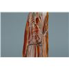 Image 8 : Chinese Horn Carved Figure Man and Fish