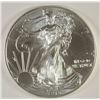Image 1 : 2015 AMERICAN SILVER EAGLE, GEM UNC. RIGHT FROM THE MINT TUBE!