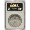Image 4 : 2007 AMERICAN SILVER EAGLE, NGC  MS-70