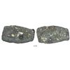 Image 1 : Mexico City, Mexico, cob 8 reales, completely cocooned in oxidation and shells (as found), probably 