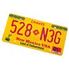 Image 1 : Roswell (TV) - Jesse (Adam Rodriguez) & Isabel's (Katherine Heigl) License Plate