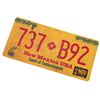 Image 1 : Roswell (TV) - KROZ Van License Plate
