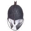 Image 1 : Troy - Myrmidon Helmet