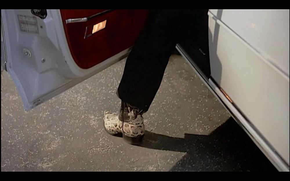 Innerspace - The Cowboy's Boots & Underpants (Robert Picardo)