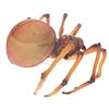 Image 4 : Jumanji - Large Prop Spider