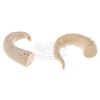 Image 4 : Star Wars: Episode VI - Return of the Jedi - Creature and Skiff Guard Teeth & Horn Castings