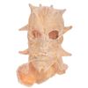 Image 1 : Jeepers Creepers - Creeper's Costume Mask