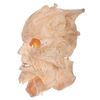 Image 3 : Jeepers Creepers - Creeper's Costume Mask