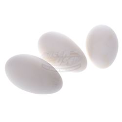 Jurassic Park - Dinosaur Eggs