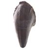 Image 1 : Jurassic Park - Tyrannosaurs Rex Toe Claw