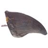Image 2 : Jurassic Park - Tyrannosaurs Rex Toe Claw