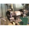 Image 8 : 10" Dayton Double End Pedestal Grinder