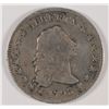 Image 1 : 1795 (2-LEAF) FLOWING HAIR DOLLAR VG/F