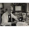 Image 2 : Alexander Fleming