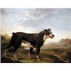 Image 1 : Richard Danarlo(?),...