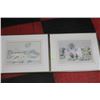Image 1 : PAIR OF FRAMED PASTEL COLOURED PICTURES