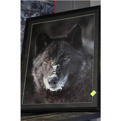 BLACK WOLF PICTURE