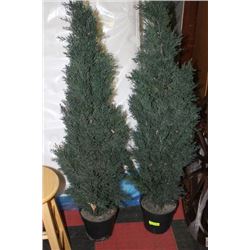 PAIR OF ARTIFICIAL CEDAR TREES