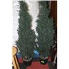 Image 1 : PAIR OF ARTIFICIAL CEDAR TREES