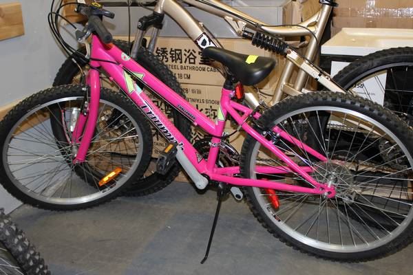 New Raleigh Triumph Challenger 21 Speed Girls
