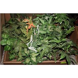 8 ARTIFICIAL PLANTS (SMALL)