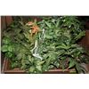 Image 1 : 8 ARTIFICIAL PLANTS (SMALL)