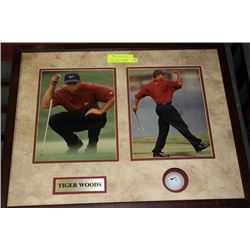 TIGER WOODS FRAMED PICTURE