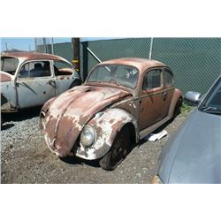 59 VOLKSWAGEN BEETLE - T -