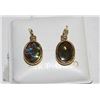 Image 1 : #75 AMMOLITE EARRINGS