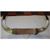 Image 1 : MOUNTED BULL HORNS