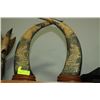 Image 1 : ANTIQUE CHINESE BUFFALO HORNS HAND CARVED
