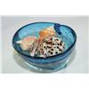 Image 1 : BLUE GLASS  SNAIL WITH SEA SHELLS