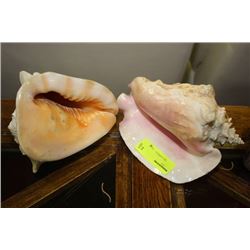2 CONCH SEASHELLS W CLAM SHELL