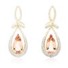 Image 1 : 14KT Yellow Gold 21.98 ctw Morganite and Diamond Earrings