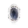 Image 1 : Sterling Silver 22.04 ctw Tanzanite Ring