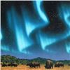 Image 2 : Magic of the Plains by William Schimmel