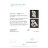 Image 3 : 18KT White Gold 3.04 ctw Diamond Ring