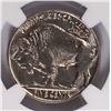 Image 3 : 1937 BUFFALO NICKEL NGC MS-66