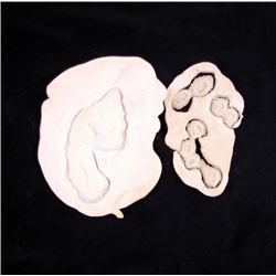 Terminator 2 Schwarzenegger Stan Winston Makeup Appliance