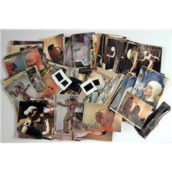 Star Kid Photos & Negatives