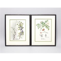 Pair of Russian Signed Botanical Watercolors