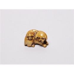 20th C. Netsuke Ivory - Dog with Pup