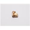 Image 3 : 20th C. Netsuke Ivory - Lion Dog