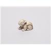 Image 1 : 20th C. Netsuke Ivory - Lion Dog