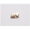 Image 3 : 20th C. Netsuke Ivory - Lion Dog